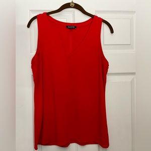 Express v neck top
